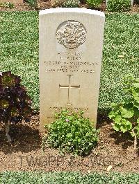 Medjez-El-Bab War Cemetery - Wilks, Frank