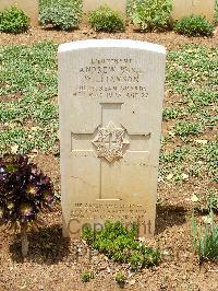 Medjez-El-Bab War Cemetery - Williamson, Andrew Basil