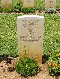 Medjez-El-Bab War Cemetery - Wilson, Herbert