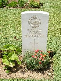 Medjez-El-Bab War Cemetery - Wilson, Miles