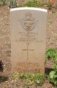 Medjez-El-Bab War Cemetery - Wilson, Peter