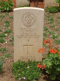 Medjez-El-Bab War Cemetery - Winton, Colin