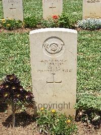 Medjez-El-Bab War Cemetery - Wright, Thomas Esmond Knox