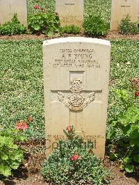 Medjez-El-Bab War Cemetery - Young, Albert Frederick