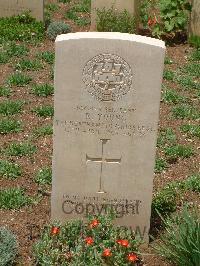 Medjez-El-Bab War Cemetery - Young, Richard