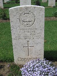 Coriano Ridge War Cemetery - Armitage, Eric