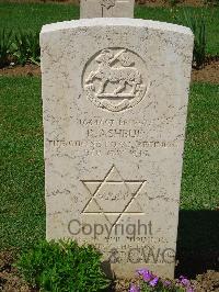 Coriano Ridge War Cemetery - Ashbul, Pinkus