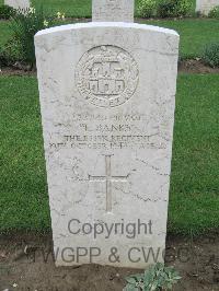 Coriano Ridge War Cemetery - Banks, Ernest