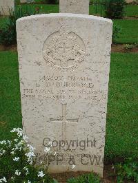 Coriano Ridge War Cemetery - Burridge, Edward Douglas