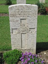 Coriano Ridge War Cemetery - Burrows, Gordon Henry