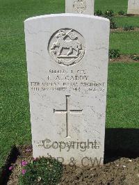 Coriano Ridge War Cemetery - Caddy, Thomas Archie