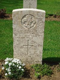 Coriano Ridge War Cemetery - Carter, Alexander