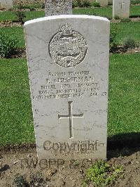 Coriano Ridge War Cemetery - Cheeseman, Edward