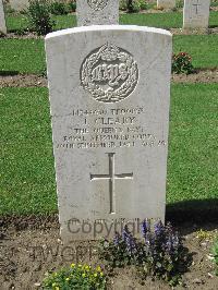 Coriano Ridge War Cemetery - Cleary, John