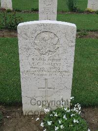 Coriano Ridge War Cemetery - Collins, Albert Clare