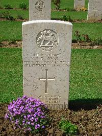 Coriano Ridge War Cemetery - Cook, Frank Desmond