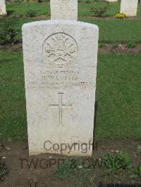 Coriano Ridge War Cemetery - Cottle, Harry William