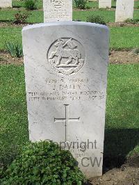 Coriano Ridge War Cemetery - Daley, John