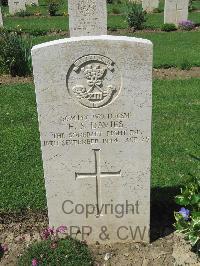 Coriano Ridge War Cemetery - Davies, Francis Samuel