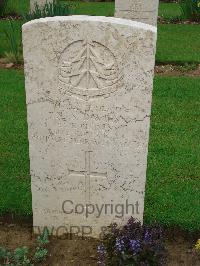 Coriano Ridge War Cemetery - Davies, Norman Stanley