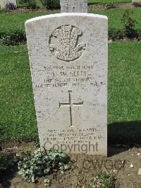 Coriano Ridge War Cemetery - Ellis, Thomas Wilfred