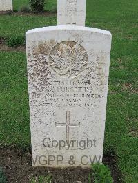 Coriano Ridge War Cemetery - Forgett, Roy