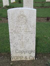 Coriano Ridge War Cemetery - Giannini, Reginald