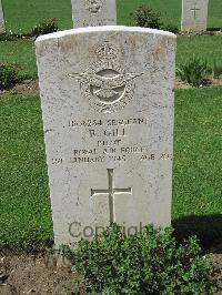 Coriano Ridge War Cemetery - Gill, Roy