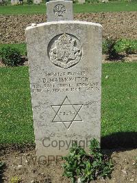 Coriano Ridge War Cemetery - Haimovitch, David