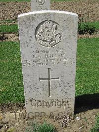 Coriano Ridge War Cemetery - Hallam, Peter Gordon