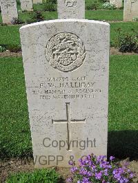 Coriano Ridge War Cemetery - Halliday, Frederick William