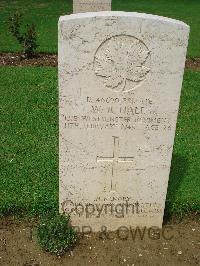 Coriano Ridge War Cemetery - Hall, William Ruben