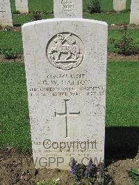 Coriano Ridge War Cemetery - Hatton, George Walter