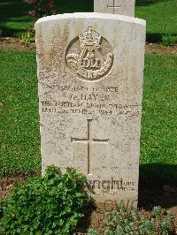 Coriano Ridge War Cemetery - Hayes, George