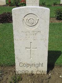 Coriano Ridge War Cemetery - Holt, Alfred