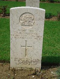 Coriano Ridge War Cemetery - Holyoake, Arthur Harry