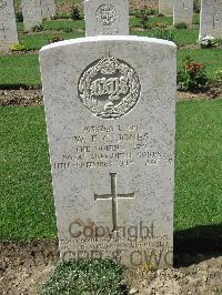 Coriano Ridge War Cemetery - Jones, William Frederick Croscomb