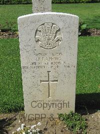 Coriano Ridge War Cemetery - Lapping, David Thomas