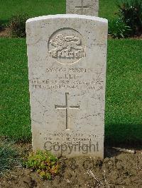 Coriano Ridge War Cemetery - Ley, Leonard