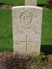 Coriano Ridge War Cemetery - Lowrey, David McGregor