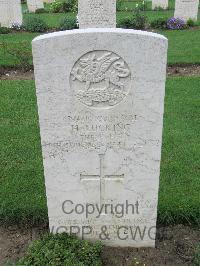 Coriano Ridge War Cemetery - Lucking, Harry