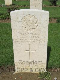 Coriano Ridge War Cemetery - MacLean, Harold