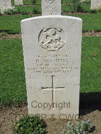 Coriano Ridge War Cemetery - Marshall, Richard