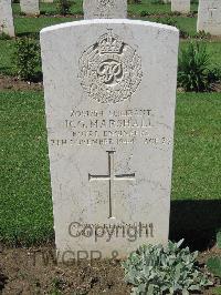 Coriano Ridge War Cemetery - Marshall, Robert George