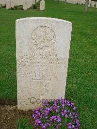 Coriano Ridge War Cemetery - McCarthy, Mathew Walter William