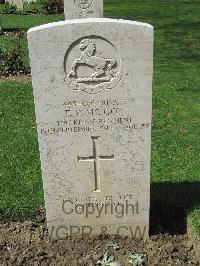 Coriano Ridge War Cemetery - McCoy, Thomas Paul