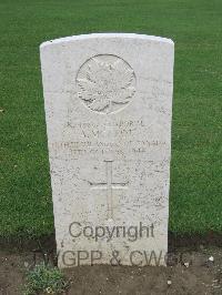 Coriano Ridge War Cemetery - McLeod, Alexander