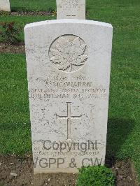 Coriano Ridge War Cemetery - McQuarrie, Alexander