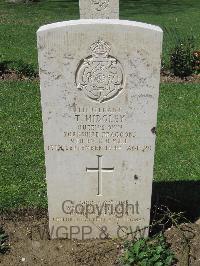 Coriano Ridge War Cemetery - Midgley, Thomas