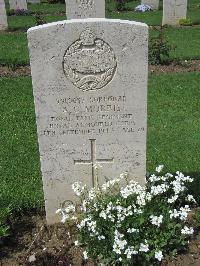 Coriano Ridge War Cemetery - Morris, Arnold George